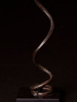 African currency Snake coil detail.jpg